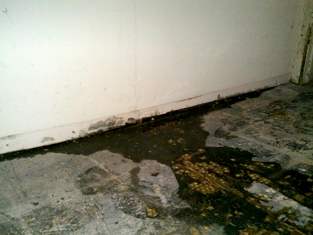 gal/2014/2014-05-19_-_Basement_bath_progress_pics/ZCAM00196.jpg